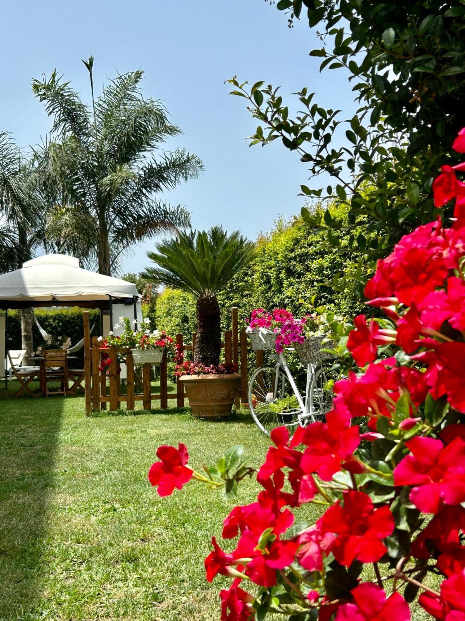 Apartamento Alto Giardino Zambrone Exterior foto